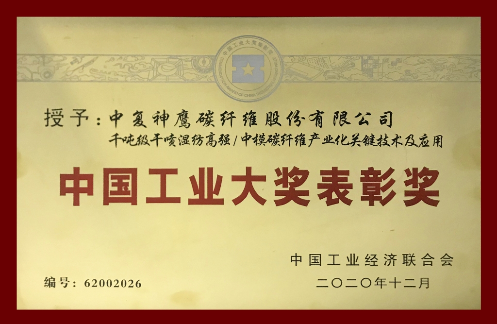 中國工業(yè)大獎(jiǎng)表彰獎(jiǎng)